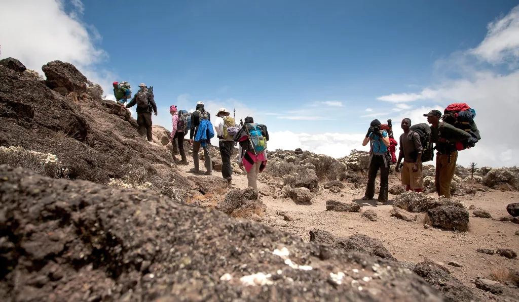 Machame Route Whisky route Precise Tour