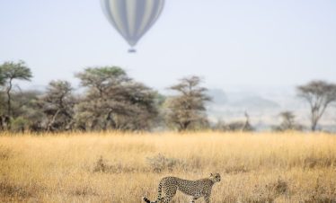 No Rush Safari Package Precise Tour