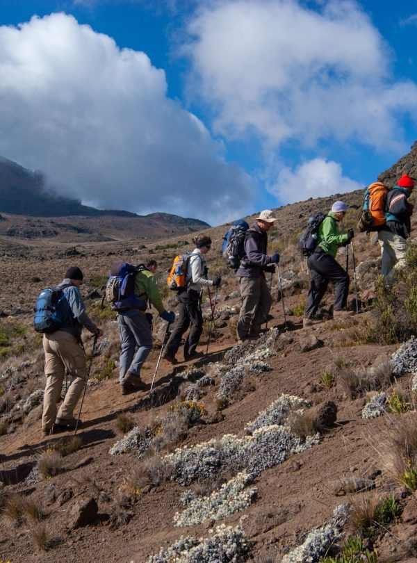 people hiking on mountain during daytime