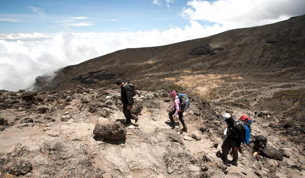 Scenic Route Kilimanjaro Precise Tour Package