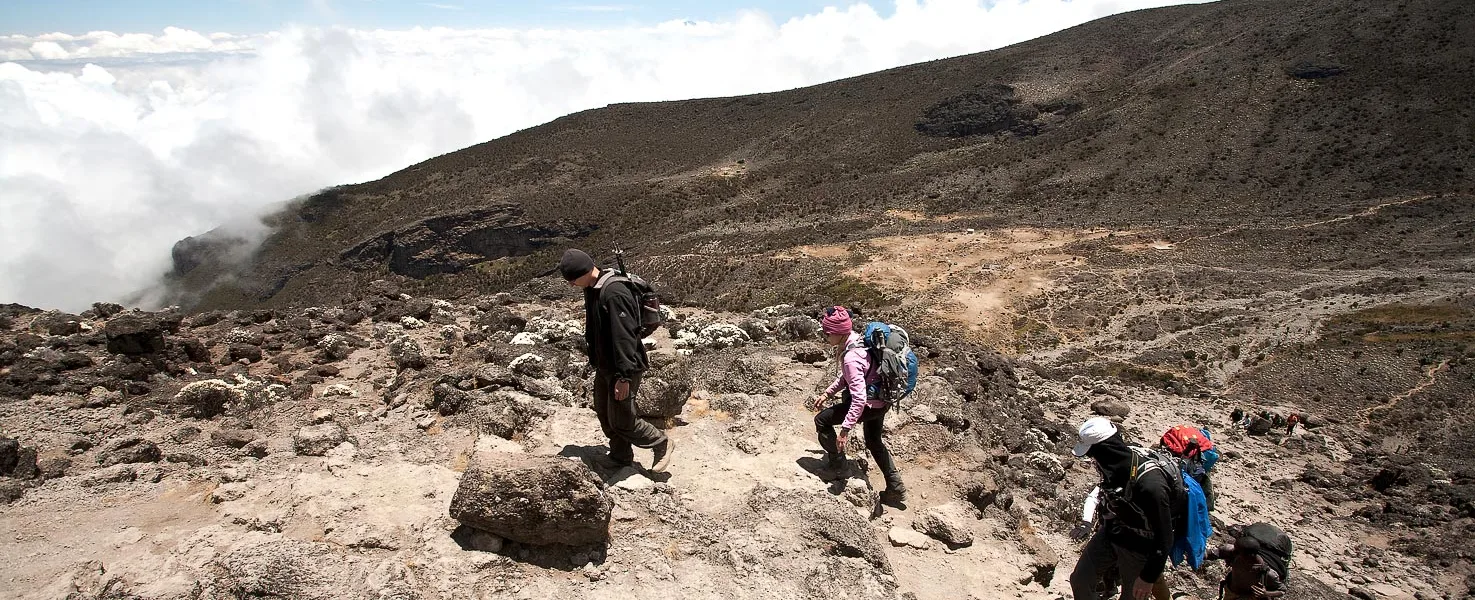 Scenic Route Kilimanjaro Precise Tour Package