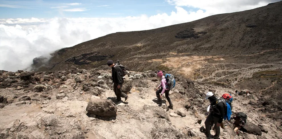 Scenic Route Kilimanjaro Precise Tour Package