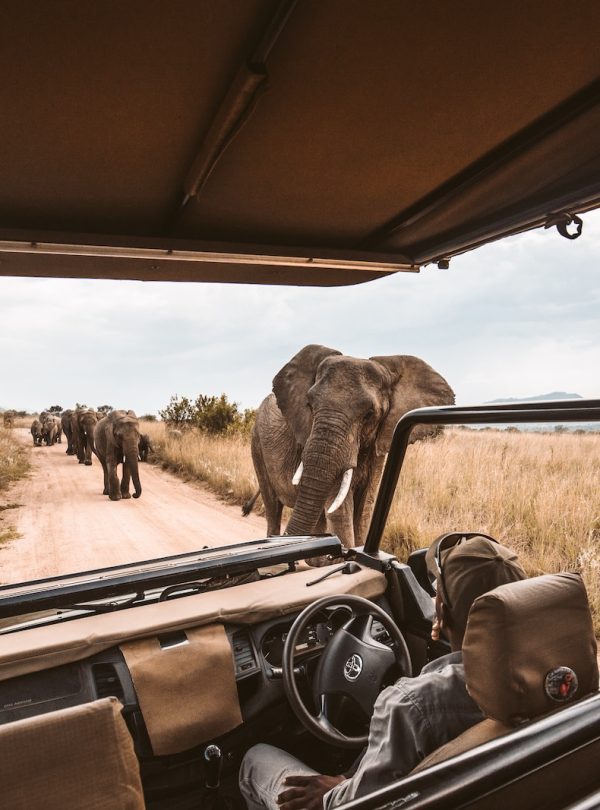 Tour and Safari