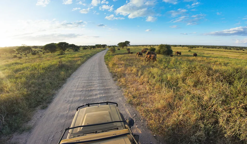 Sunset Safari Precise Tour Package