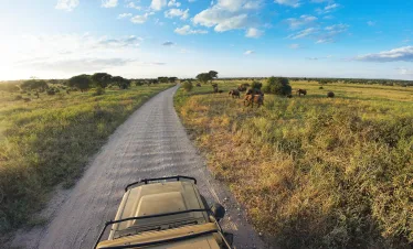 Sunset Safari Precise Tour Package