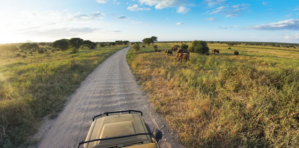 Sunset Safari Precise Tour Package